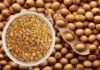 Rising Soybean Meal Prices Put Pressure on Poultry Sector