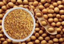 Rising Soybean Meal Prices Put Pressure on Poultry Sector