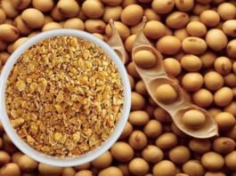 Rising Soybean Meal Prices Put Pressure on Poultry Sector