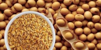 Rising Soybean Meal Prices Put Pressure on Poultry Sector