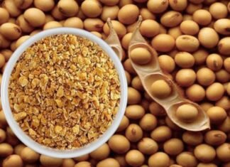 Rising Soybean Meal Prices Put Pressure on Poultry Sector