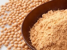 European Soybean Meal Prices Ease After Record Rally