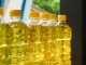 China Emerges as a Major Market for Indian Oil Meal Exports