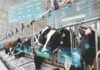 Smart Farming, Sustainable Future
