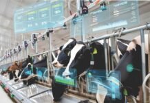 Smart Farming, Sustainable Future