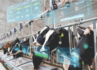 Smart Farming, Sustainable Future