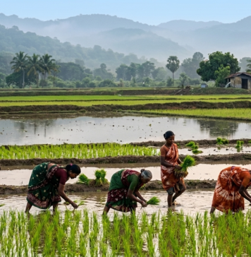 India Maps El Nino Risks: 2026 Monsoon Strategy Leverages Historical Crop Data
