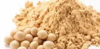 Indian Poultry Industry Cuts Production Amid Sharp Rise in Soybean Meal Prices