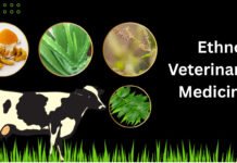 Ethno-Veterinary Medicine: India’s Path to Responsible Antibiotic Use
