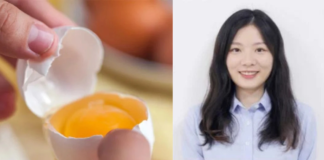 Apo-ester and Canthaxanthin: Properties and Application Strategies in Poultry Pigmentation