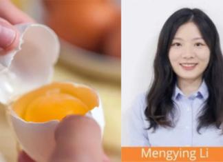Apo-ester and Canthaxanthin: Properties and Application Strategies in Poultry Pigmentation
