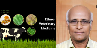 Ethno-Veterinary Medicine: India’s Path to Responsible Antibiotic Use