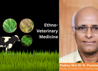 Ethno-Veterinary Medicine: India’s Path to Responsible Antibiotic Use