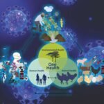 Up to 70% Reduction in Antibiotic Use: Inside NDDB’s Dairy AMR Strategy