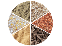 NOVUS Brings Global Feed Ingredient References Together in One Digital Tool