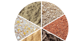 NOVUS Brings Global Feed Ingredient References Together in One Digital Tool