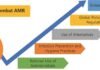 Sectoral Analysis: AMR Drivers in India’s Dairy and Seafood Industries
