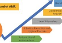 Sectoral Analysis: AMR Drivers in India’s Dairy and Seafood Industries