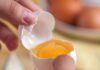 Apo-ester and Canthaxanthin: Properties and Application Strategies in Poultry Pigmentation