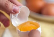 Apo-ester and Canthaxanthin: Properties and Application Strategies in Poultry Pigmentation