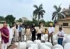 Maize Silage Revolution: ICAR–IIMR’s Breakthrough Initiative Reshapes Livestock Feeding in North-West India