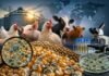AI Could Transform Mycotoxin Risk Management in Feed Supply Chains