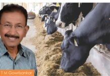 Importance of Scientific Feeding of Dairy Cows