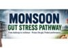 Monsoon and the Layer Gut: Protecting Gut Integrity for Sustained Egg Production