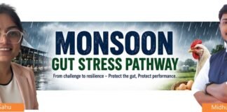 Monsoon and the Layer Gut: Protecting Gut Integrity for Sustained Egg Production
