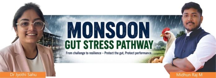 Monsoon