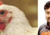 Feed Passage Syndrome: The Silent Enemy of Poultry Gut Health and Productivity