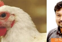Feed Passage Syndrome: The Silent Enemy of Poultry Gut Health and Productivity