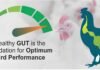 Raising the Bar for Gut Resilience Under Environmental Stress