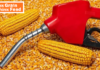 Maize-Based Ethanol Price Cut May Ease Feedstock Market Distortions