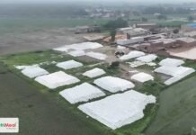 Fodder Challenges in India: From Fodder Deficit to Nutrition Security