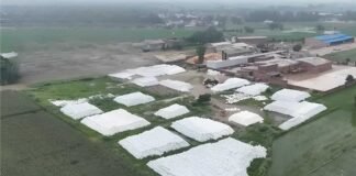 Fodder Challenges in India: From Fodder Deficit to Nutrition Security