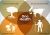 One Health: The critical link between Soil health, Animal Health and Food Safety